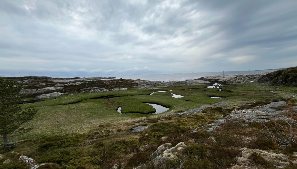 Her er det planlagt et gedigent landbasert oppdrettsanlegg. Utbygging av Tøfta vil være en miljømessig katastrofe, mener Naturvernforbundet i Kristiansund og Averøy.