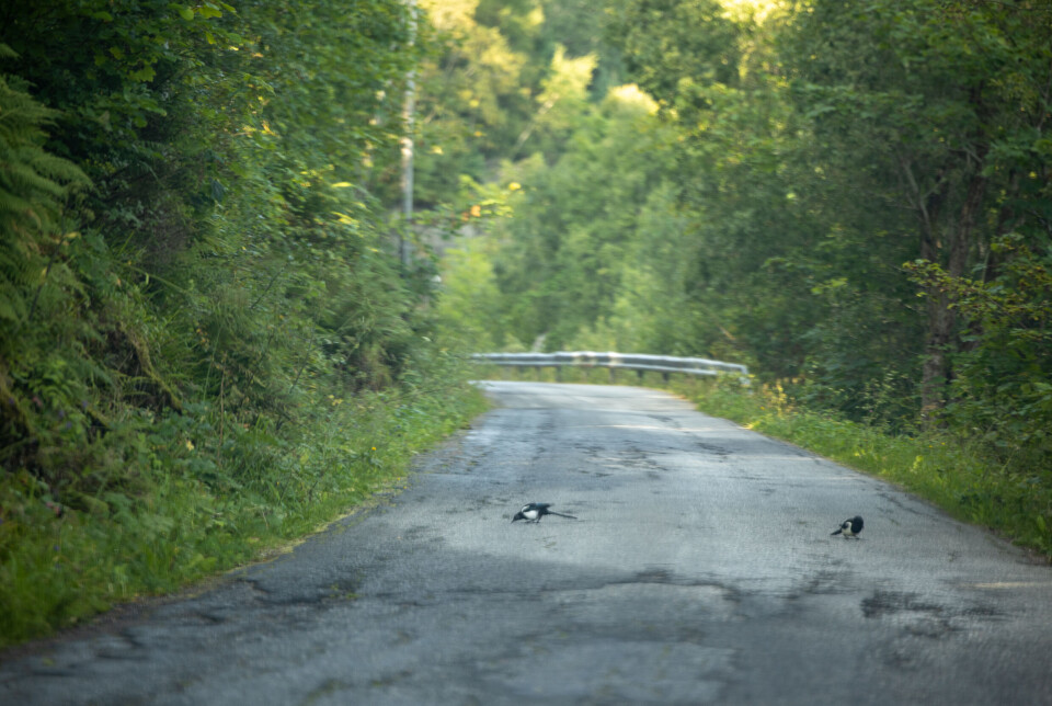 Naboene fortviler over livsfarlige forhold