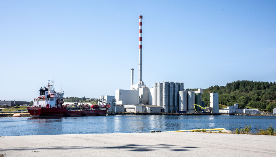 UTVIDELSE: Skretting AS planlegger storstilt utvidelse i Kristvika med nye bygg og kaianlegg.