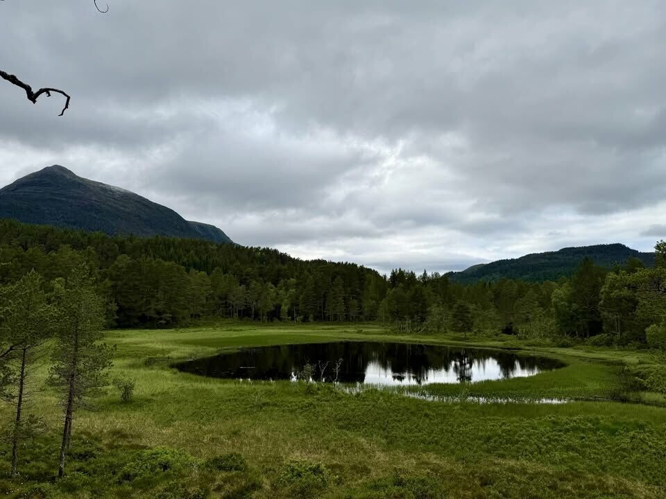 Freivatnet.