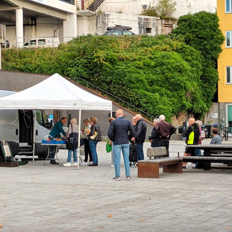 Lang kø for å kjøpe ferske bær mandag 8. september. Foto: Leserfoto.
