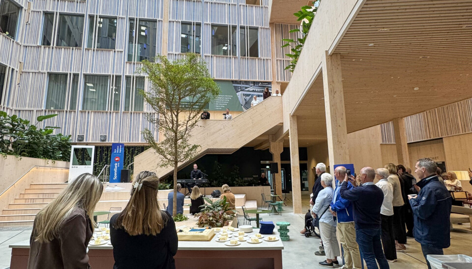 Kake og sang i atriet på Campus. Sang av Knut Marius Djupvik. Fra åpningsfesten til Sparebank 1 SMN i Campus Kristiansund.