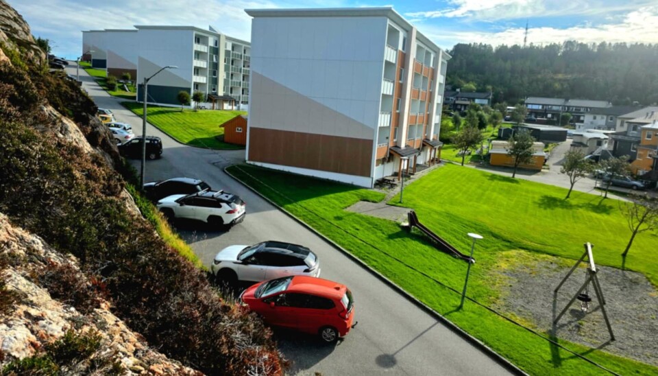 Oversiktsbilde av Margrethes Fryd, gaten hvor skadeverket ble begått.