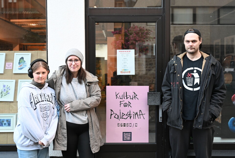 Jobber med Kultur for Palestina. Fra venstre Norah Emilie Tangen-Meistad, Lis Meistad og Niklas Grimsmo Mortensen.