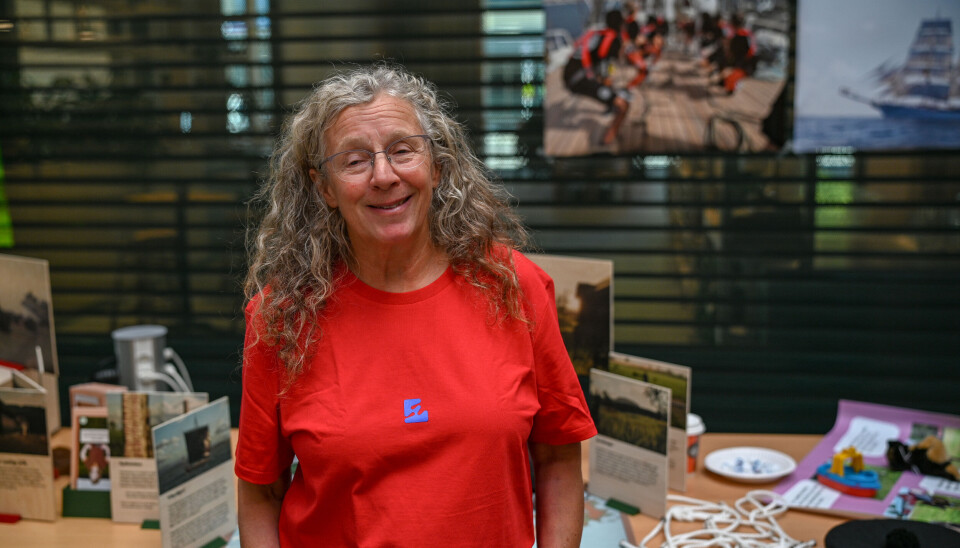 Anne Botslangen fra Høgskolen i Molde