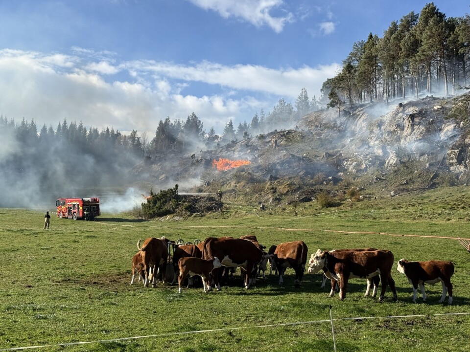 Det brenner på Bergsøya.
