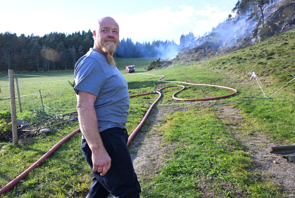 Knut Trygge Storvik (64) driver gården i Storvika på Bergsøya i Gjemnes kommune. FOTO: JOHN BERGE