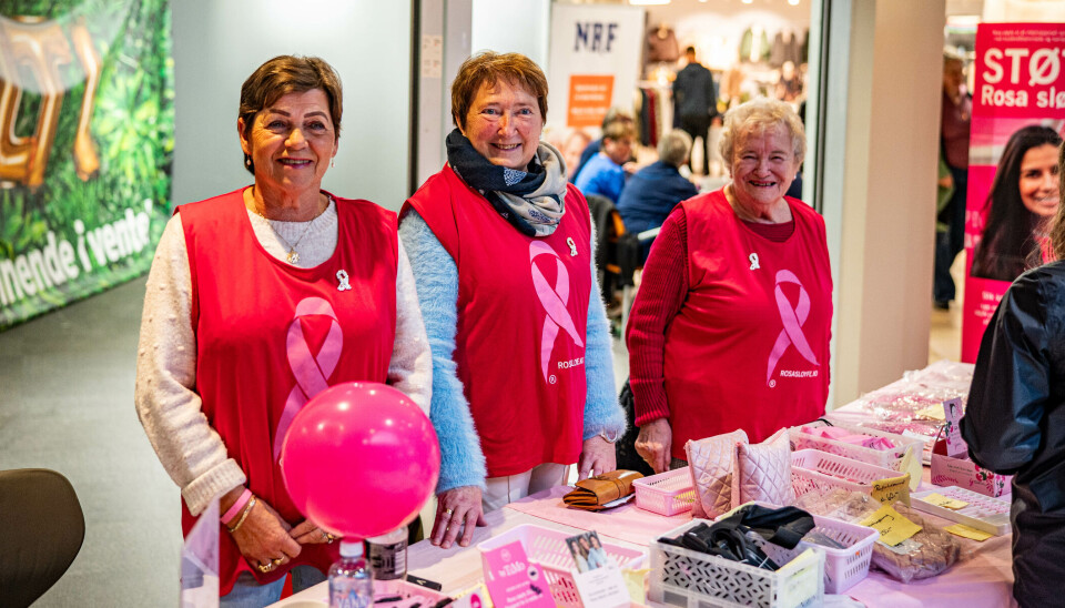 Vigdis Ersnes, Astrid Steen Jektvik og Marianne Henden.