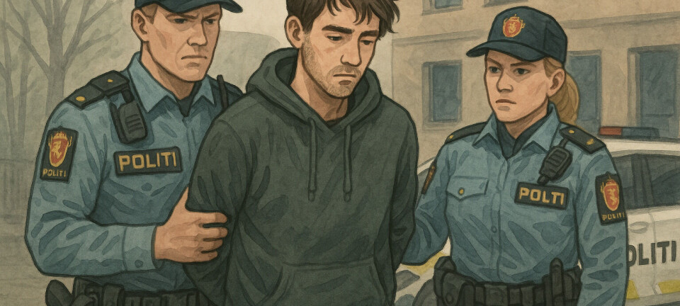 Mann i 20-årene varetektsfengslet for bedrageri og biltyveri