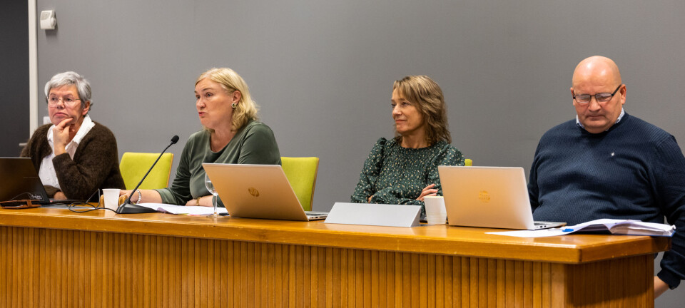 Averøy må finne ny kommunedirektør – dropper ekstern hjelp