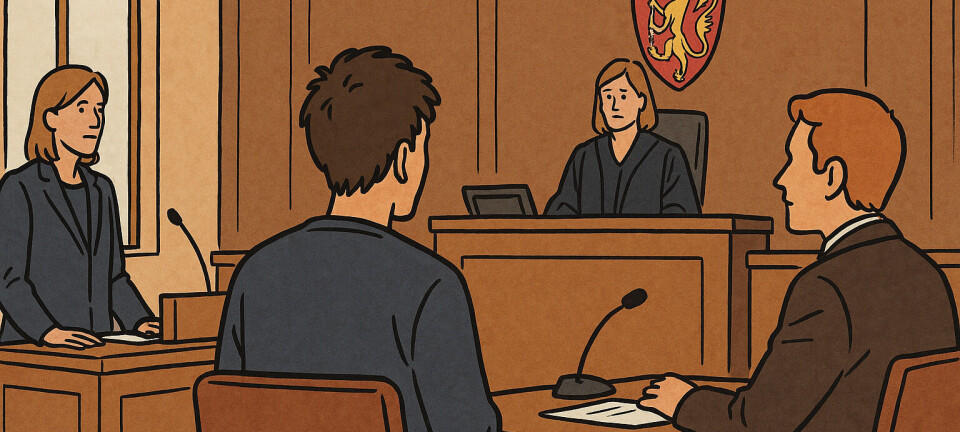 Dømt for vold mot politiet og skadeverk – fikk 21 dagers fengsel